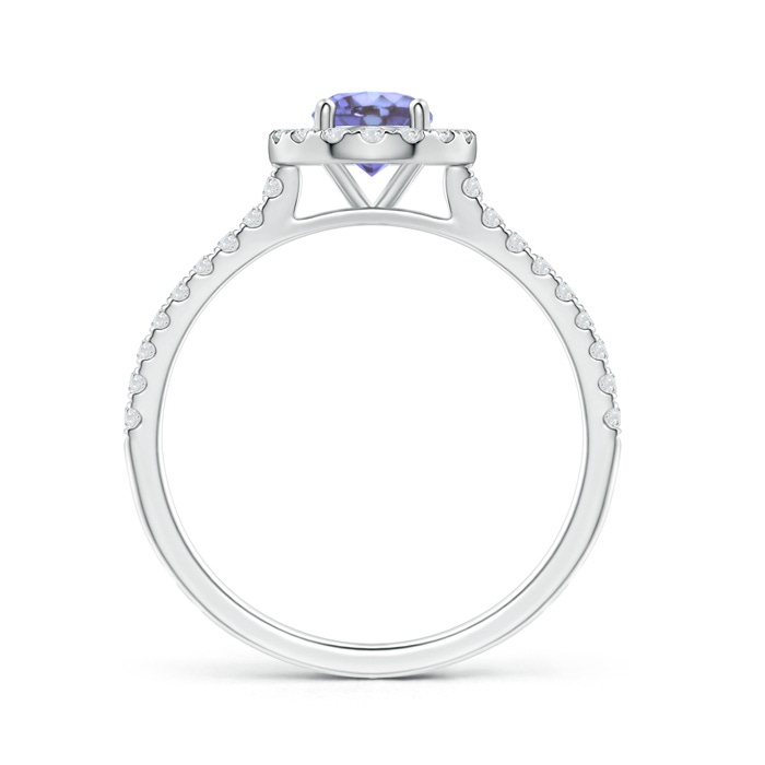 5mm AA Floating Tanzanite Halo Ring with Diamond Accents in White Gold side-1