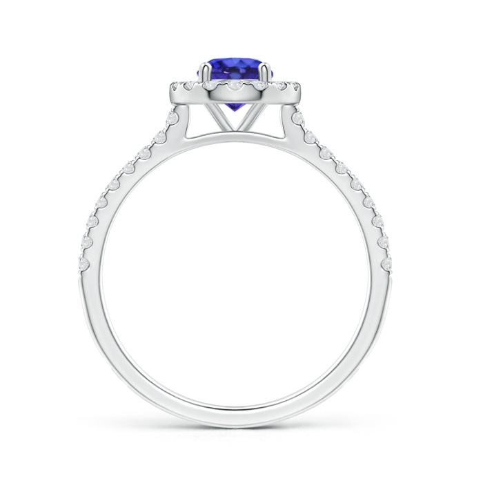 5mm AAAA Floating Tanzanite Halo Ring with Diamond Accents in P950 Platinum side-1