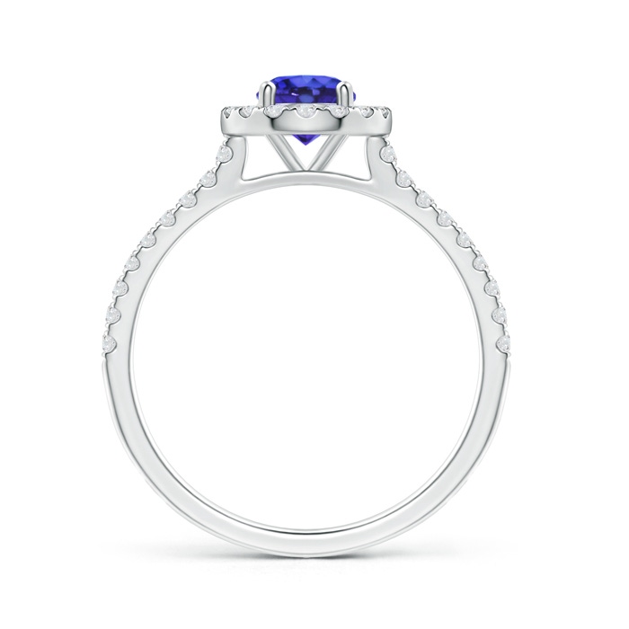 5mm AAAA Floating Tanzanite Halo Ring with Diamond Accents in White Gold Side-1