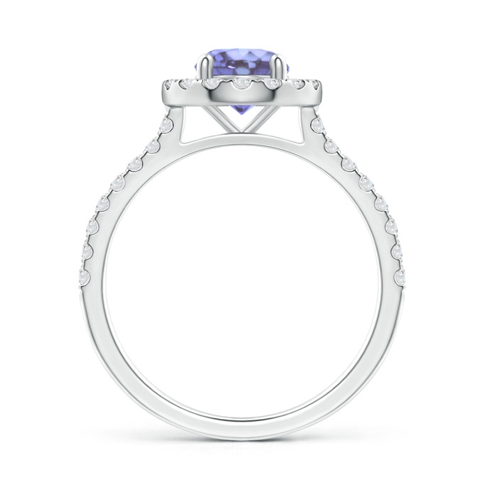 6mm A Floating Tanzanite Halo Ring with Diamond Accents in P950 Platinum side-1