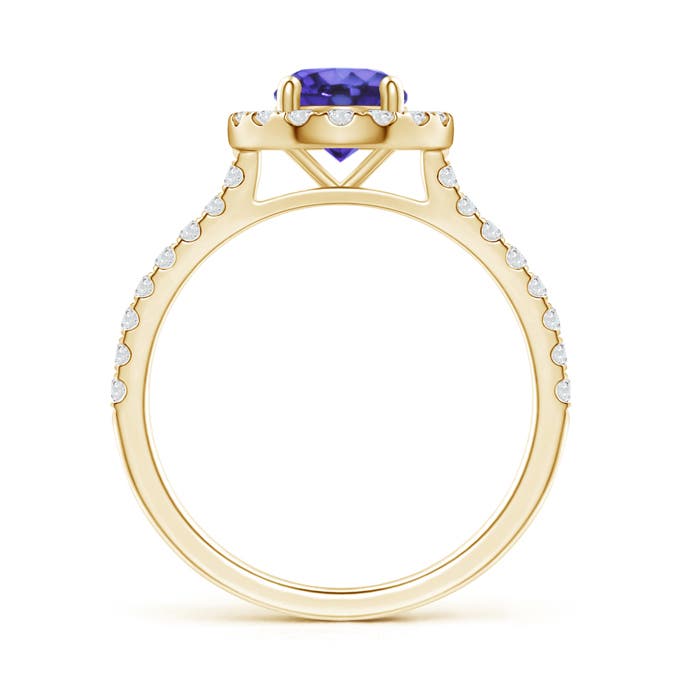 AA - Tanzanite / 1.28 CT / 14 KT Yellow Gold