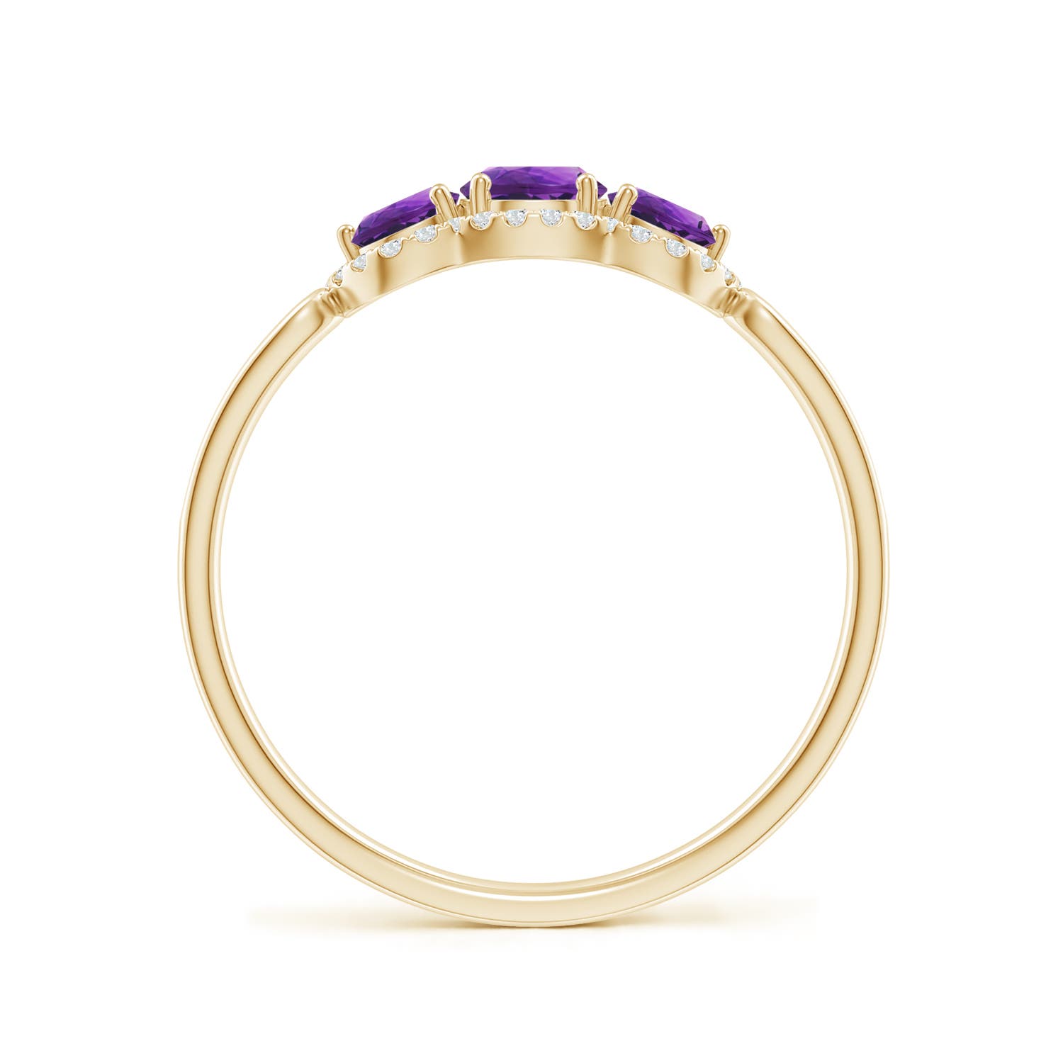 AAAA - Amethyst / 0.76 CT / 14 KT Yellow Gold