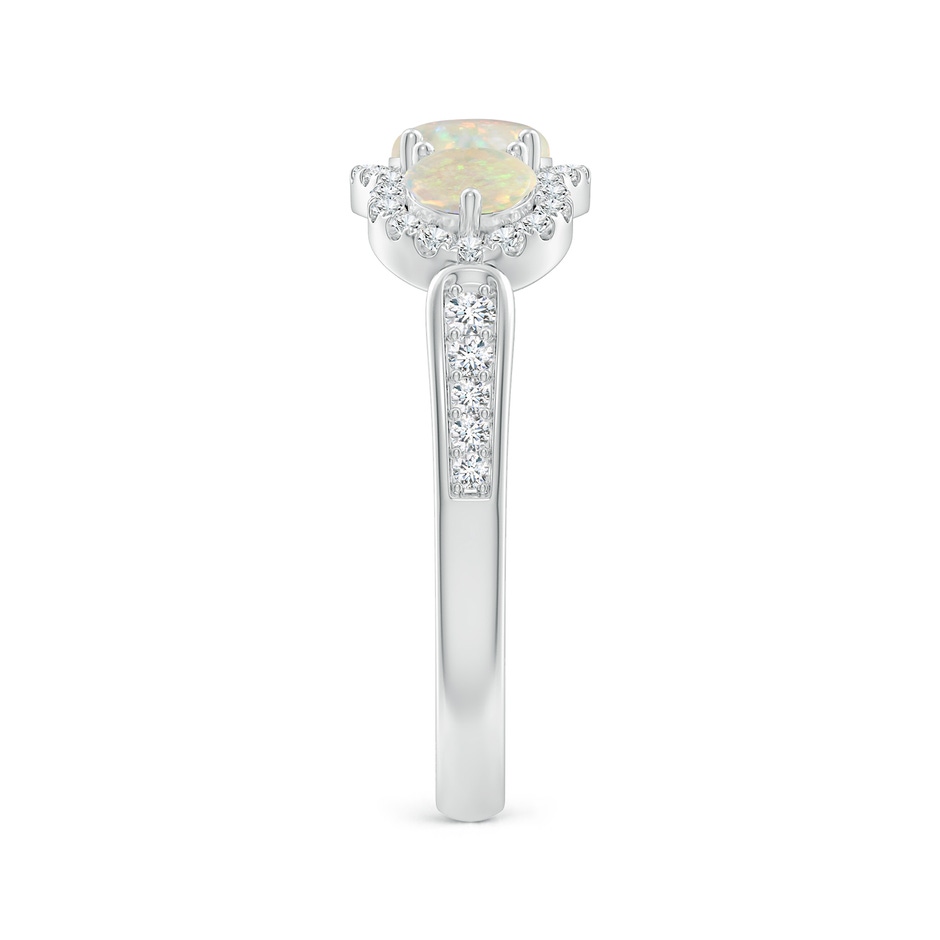 5mm AAA Floating Three Stone Opal Ring with Diamond Halo in P950 Platinum side-2
