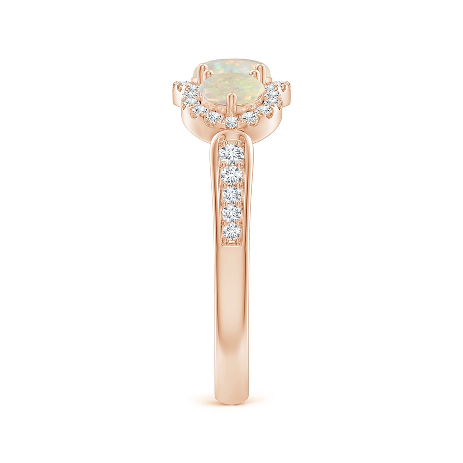 5mm AAA Floating Three Stone Opal Ring with Diamond Halo in Rose Gold side-2