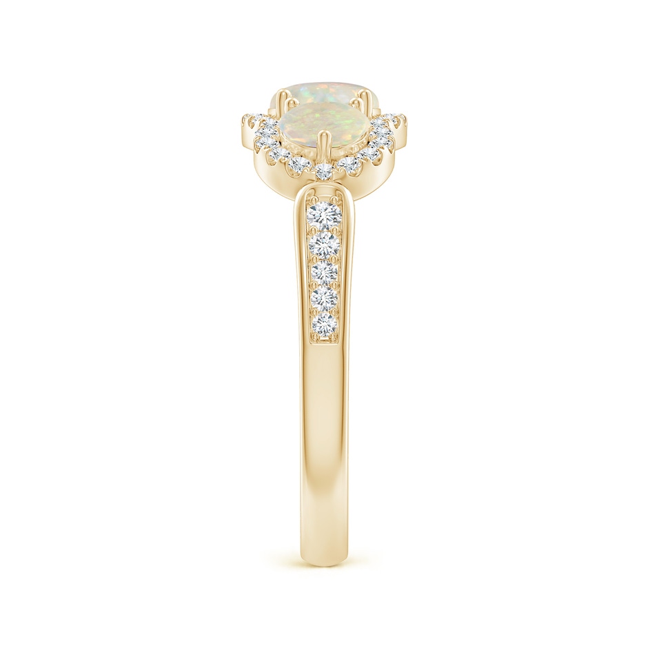5mm AAA Floating Three Stone Opal Ring with Diamond Halo in Yellow Gold side-2