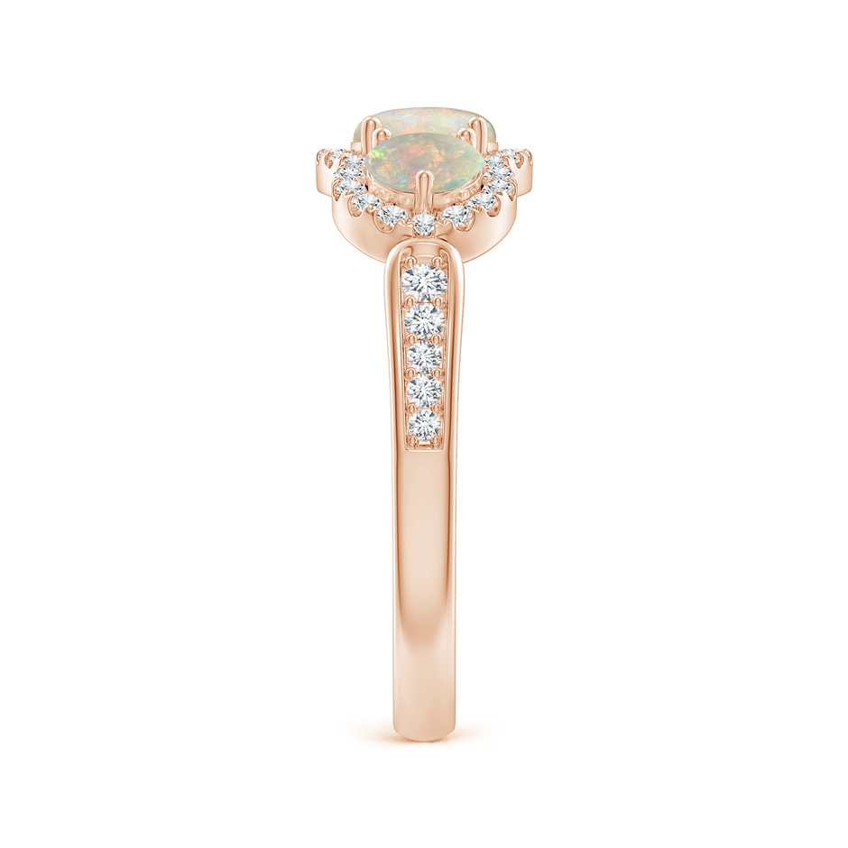 5mm AAAA Floating Three Stone Opal Ring with Diamond Halo in Rose Gold side-2