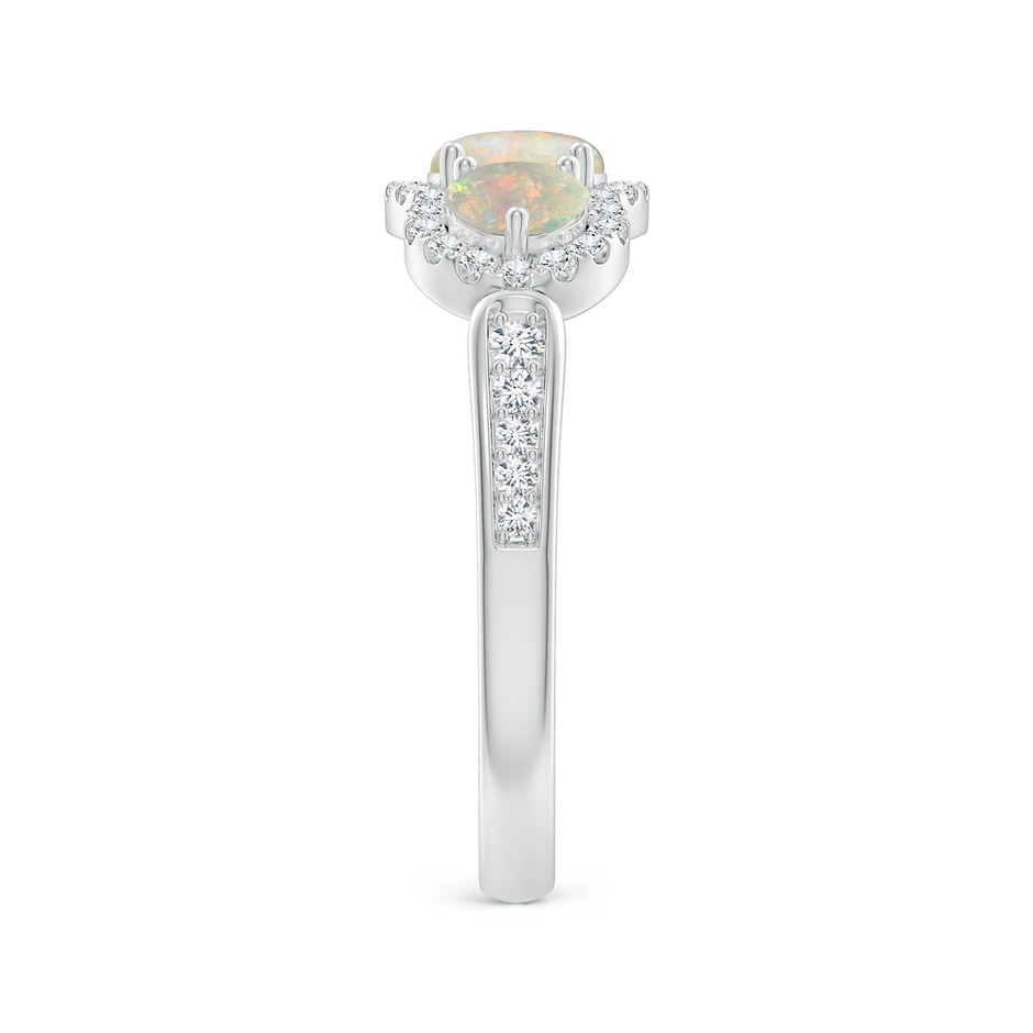 5mm AAAA Floating Three Stone Opal Ring with Diamond Halo in White Gold side-2