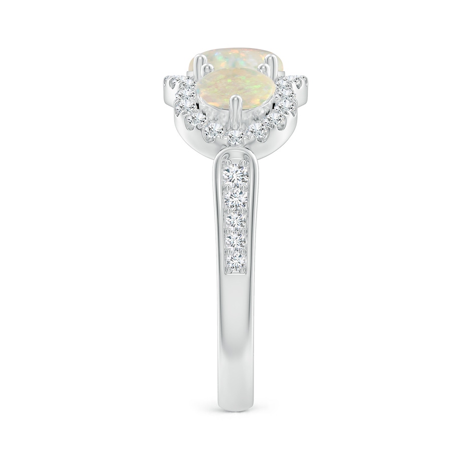 6mm AAA Floating Three Stone Opal Ring with Diamond Halo in P950 Platinum side-2