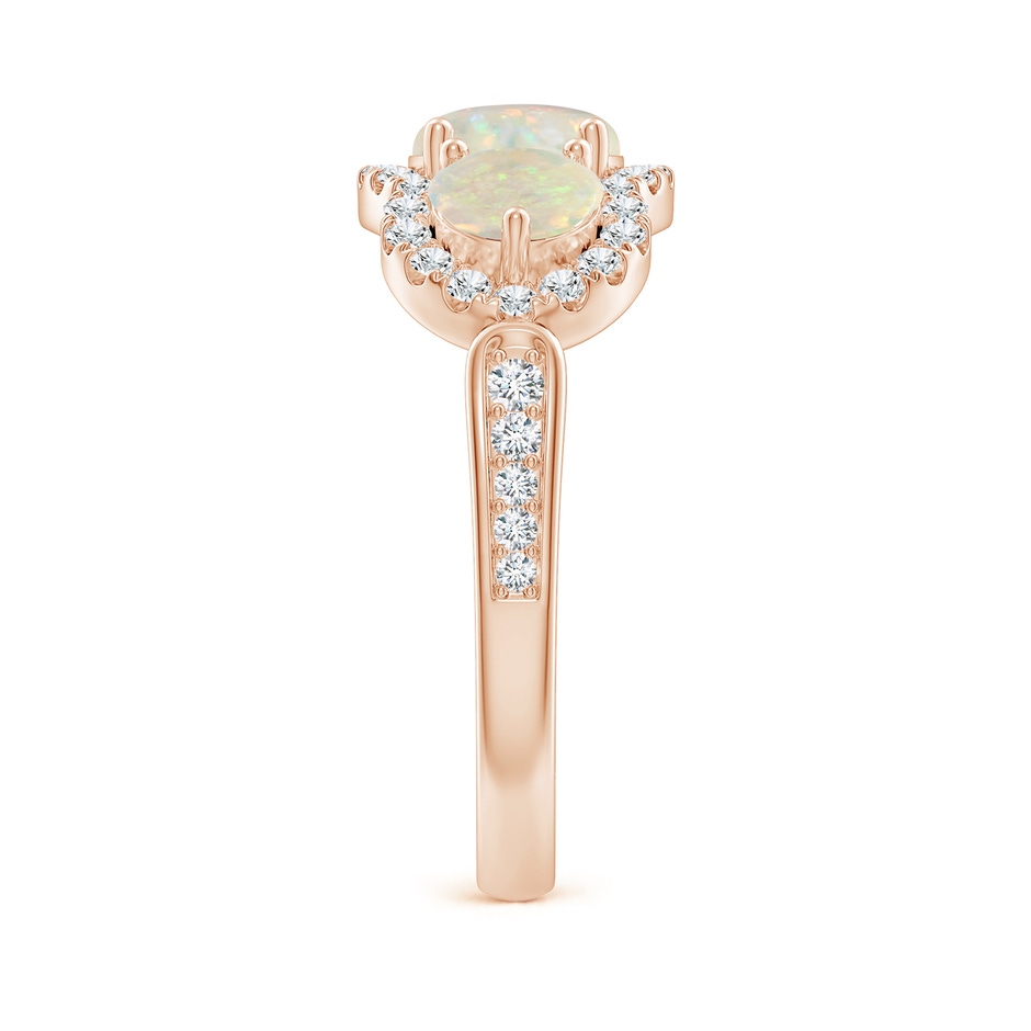 6mm AAA Floating Three Stone Opal Ring with Diamond Halo in Rose Gold side-2