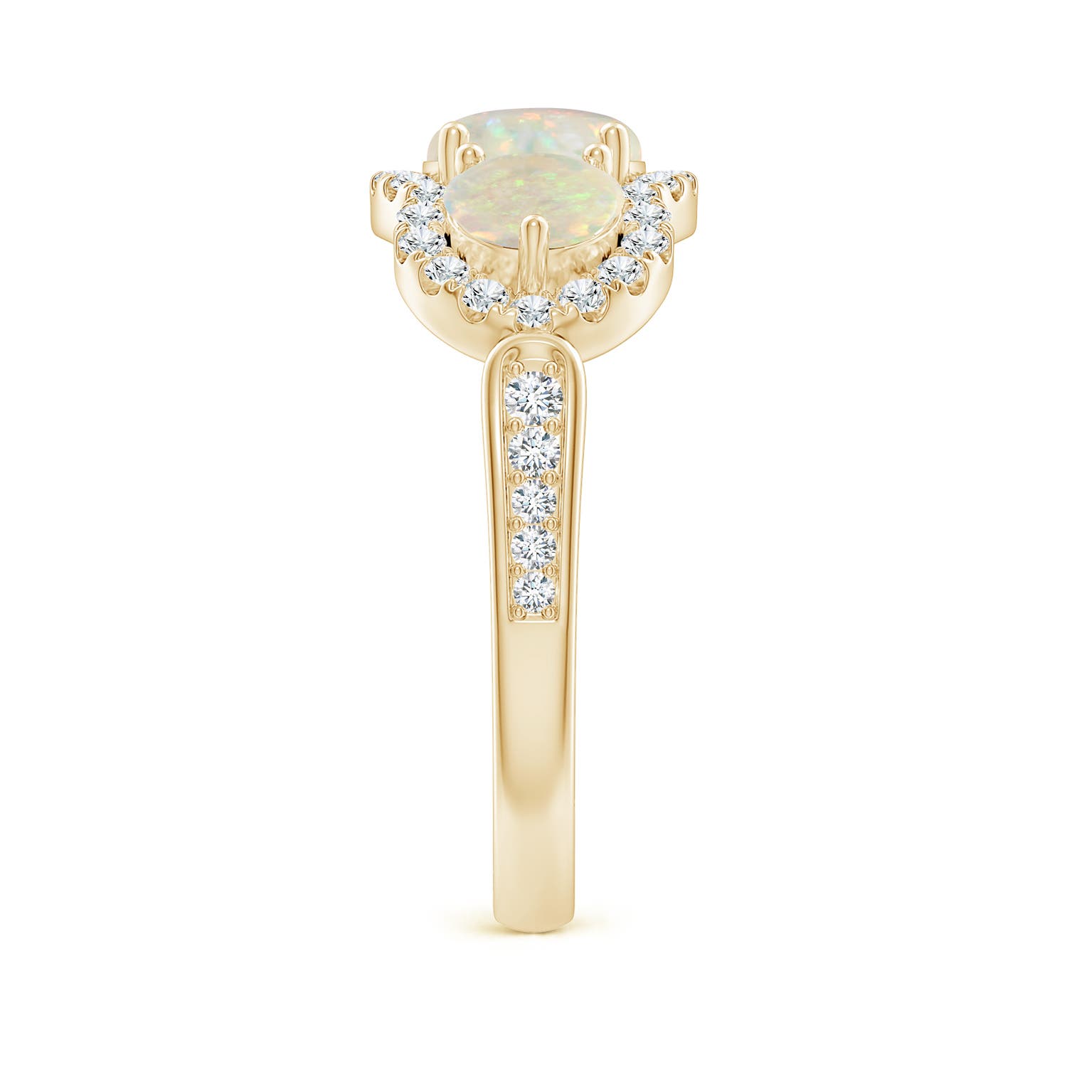 AAA - Opal / 1.49 CT / 14 KT Yellow Gold