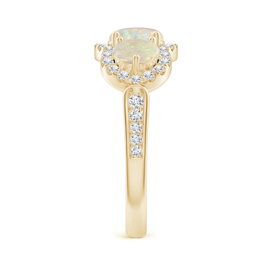6mm AAA Floating Three Stone Opal Ring with Diamond Halo in Yellow Gold side-2