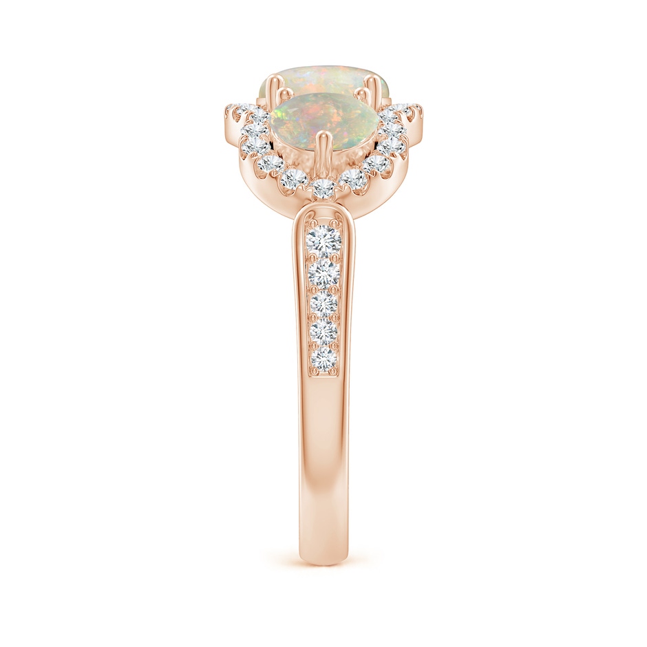 6mm AAAA Floating Three Stone Opal Ring with Diamond Halo in Rose Gold side-2