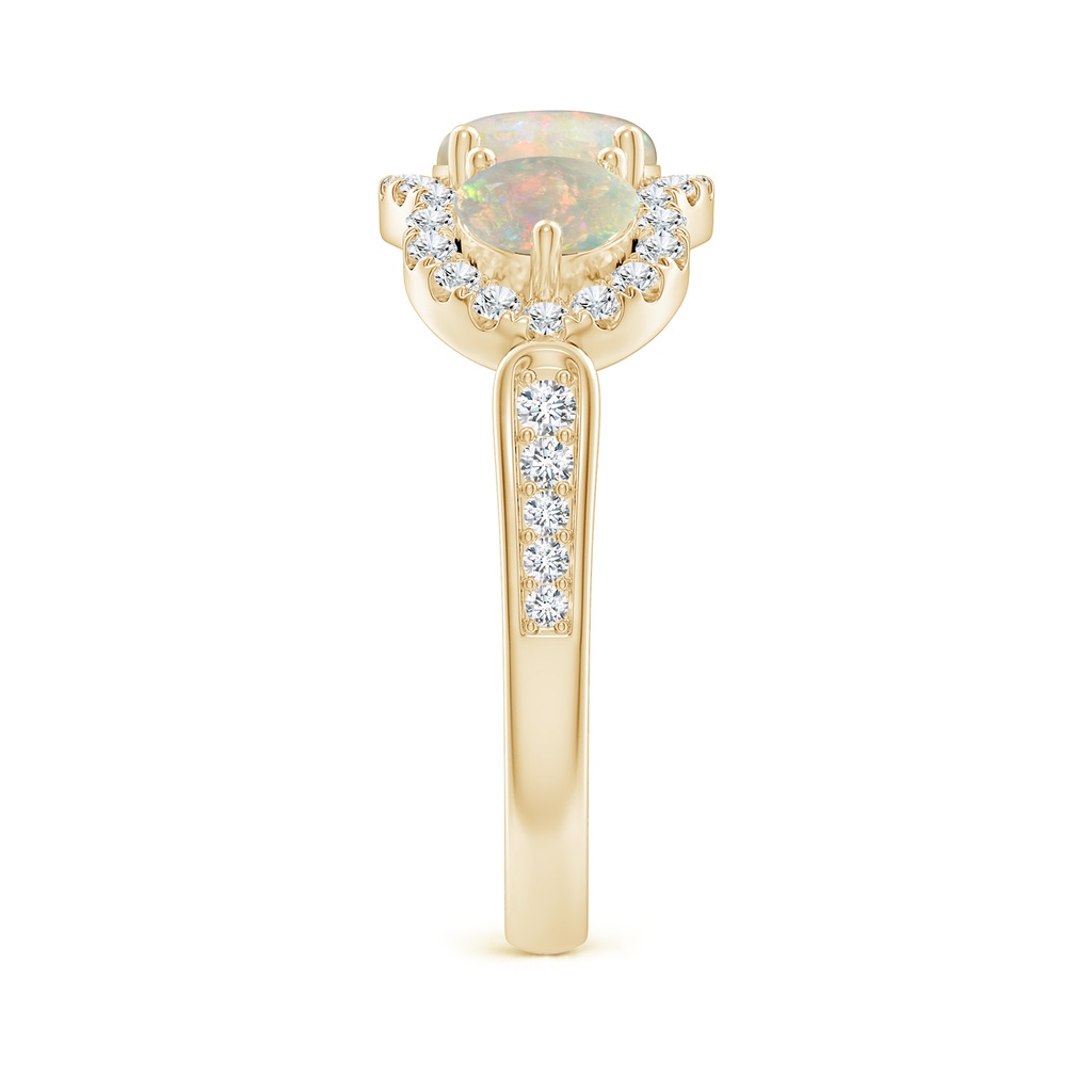 6mm AAAA Floating Three Stone Opal Ring with Diamond Halo in Yellow Gold Side-2