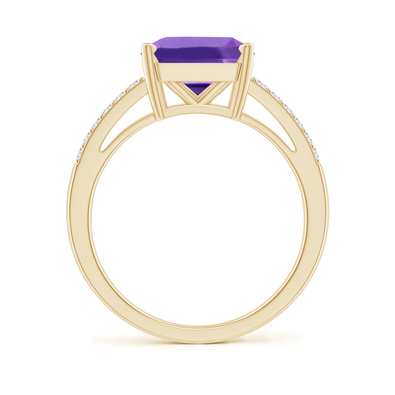 AAA - Amethyst / 3.04 CT / 14 KT Yellow Gold