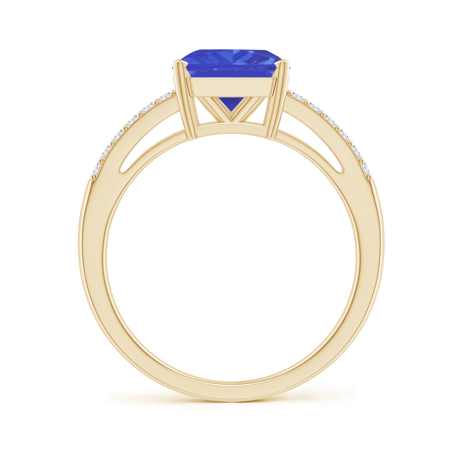 AAA - Tanzanite / 2.49 CT / 14 KT Yellow Gold