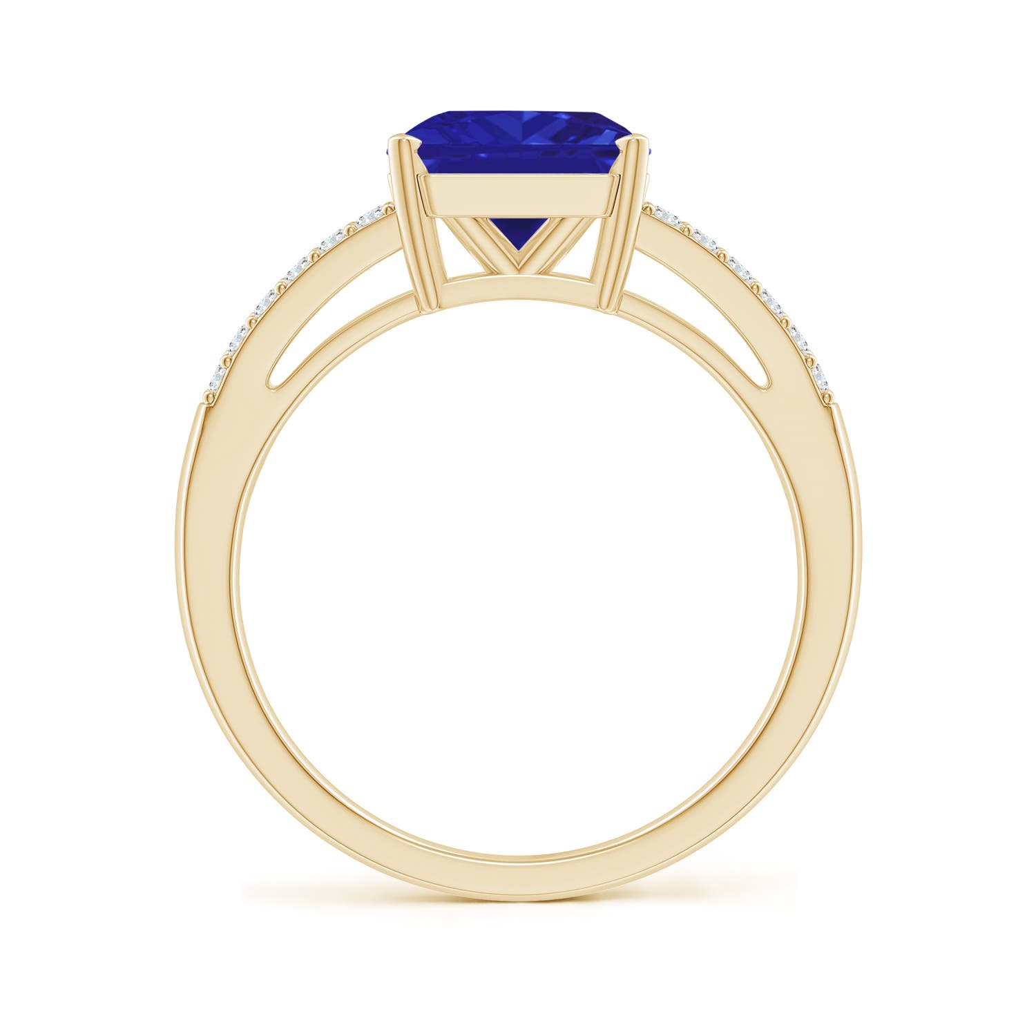 AAAA - Tanzanite / 2.49 CT / 14 KT Yellow Gold