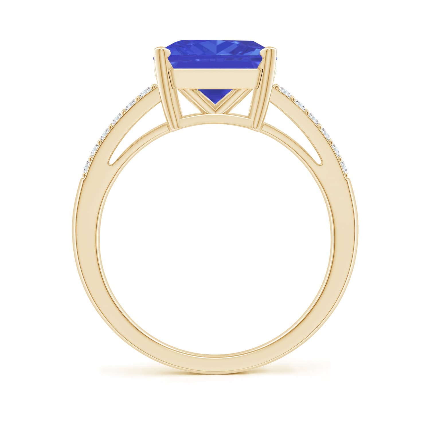 AAA - Tanzanite / 3.49 CT / 14 KT Yellow Gold