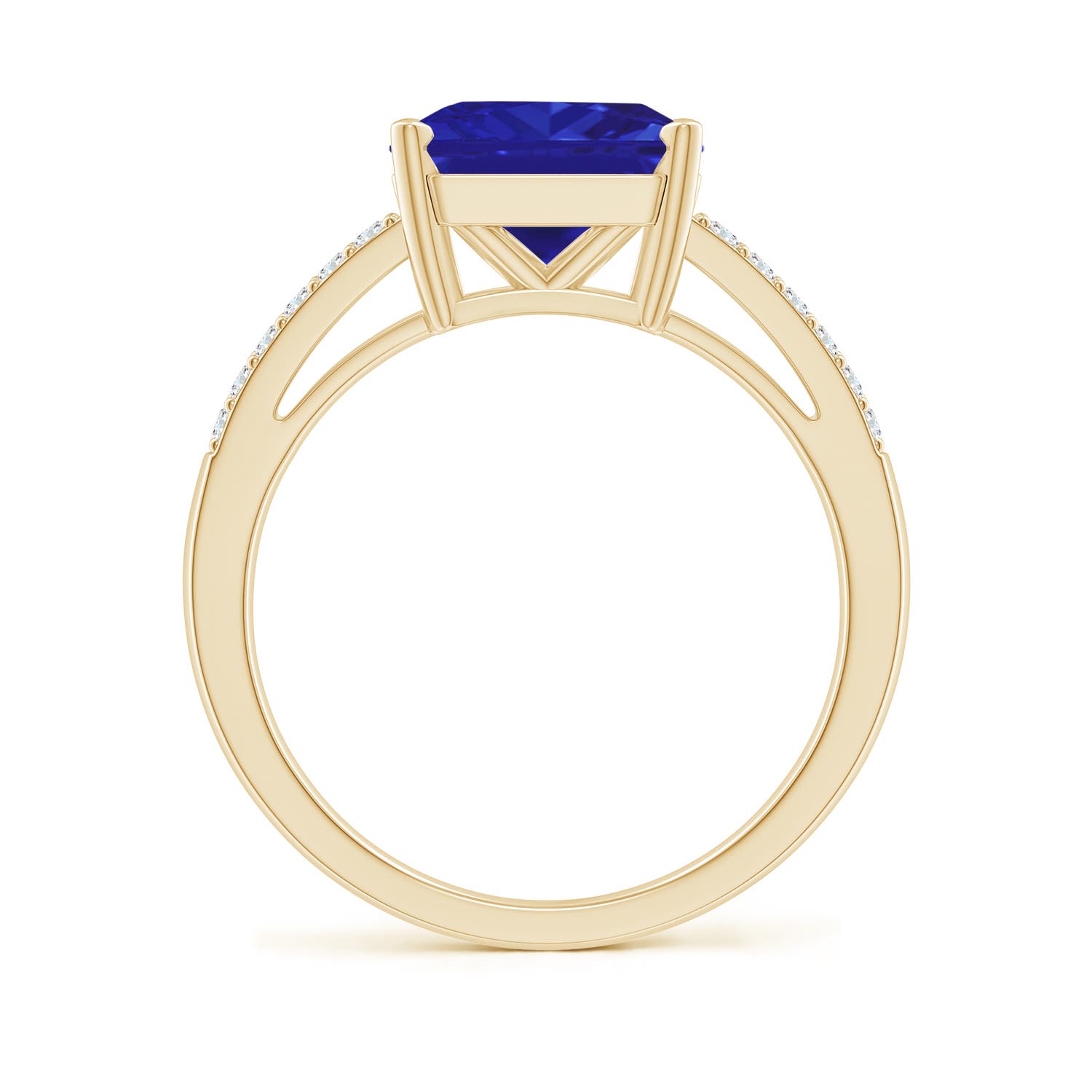 AAAA - Tanzanite / 3.49 CT / 14 KT Yellow Gold