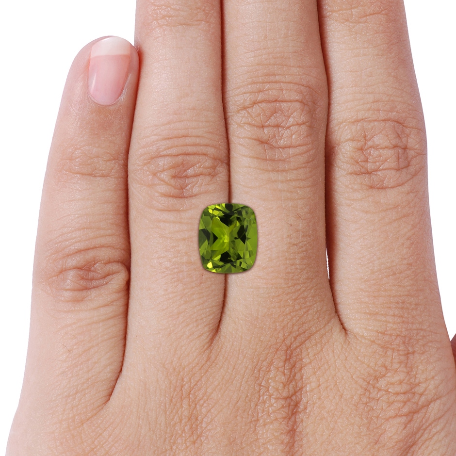 11.02x8.99x5.64mm AA GIA Certified Rectangular Cushion Peridot Halo Ring in White Gold Side 799