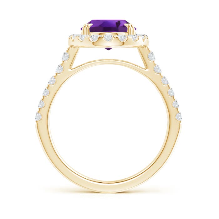 AAAA - Amethyst / 2.91 CT / 14 KT Yellow Gold