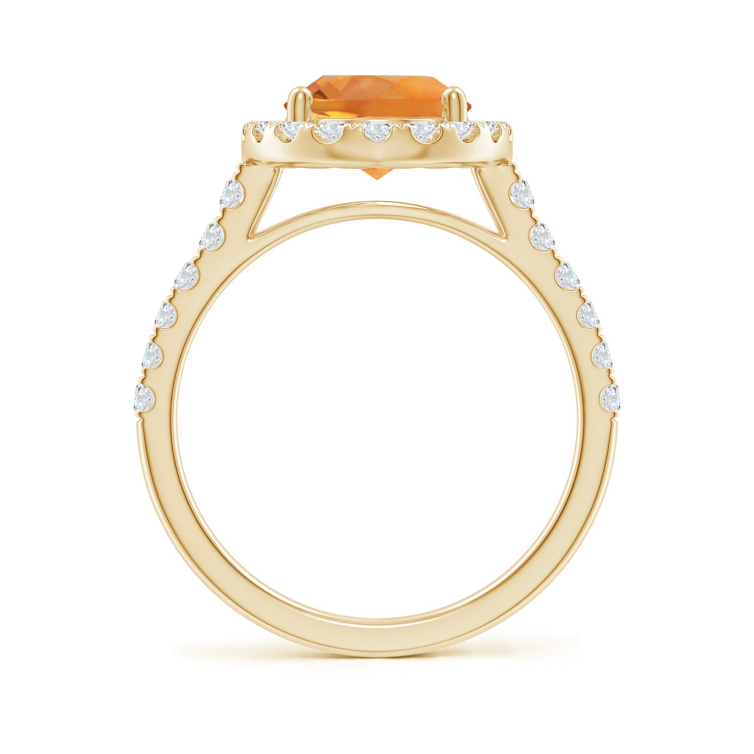 AAA - Citrine / 3.13 CT / 14 KT Yellow Gold