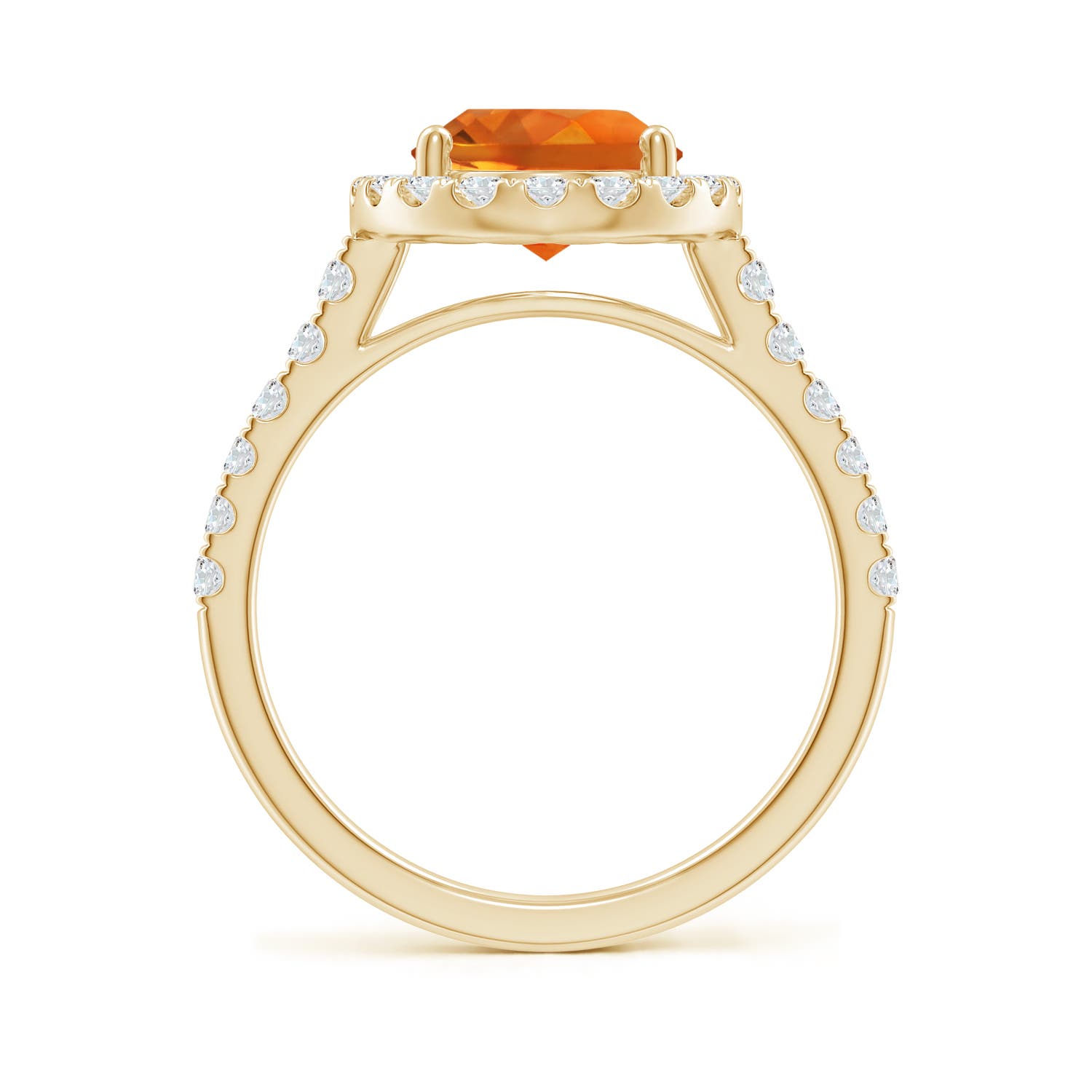 AAAA - Citrine / 3.13 CT / 14 KT Yellow Gold