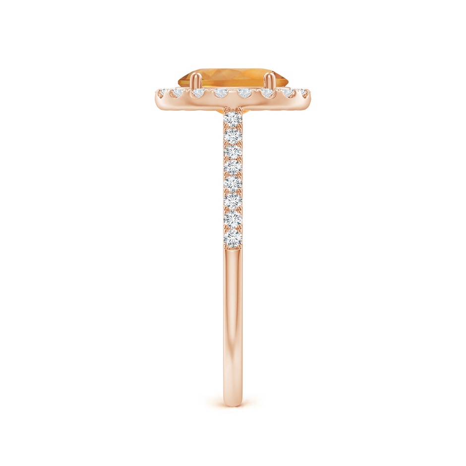 8x6mm AA Double Claw-Set Oval Citrine Halo Ring with Diamonds in 9K Rose Gold side 299