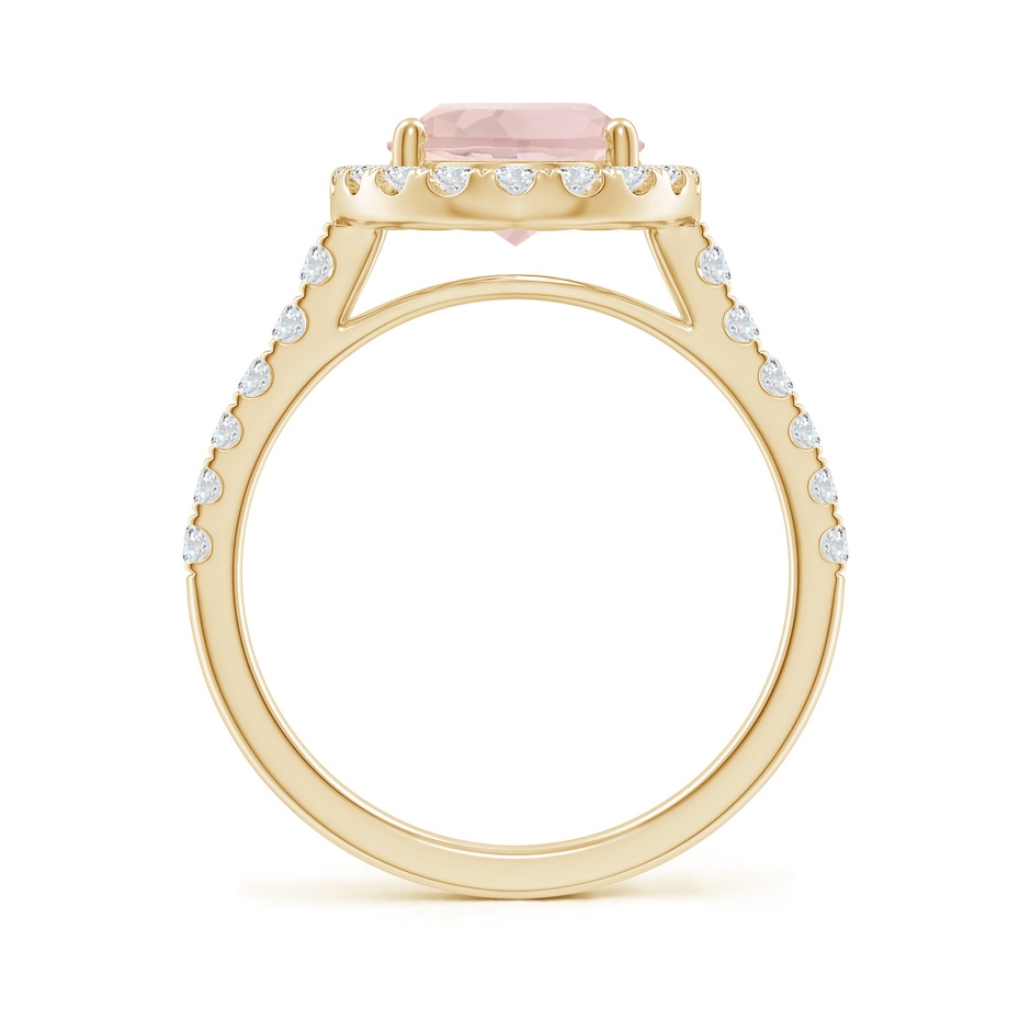 10x8mm A Double Claw-Set Oval Morganite Halo Ring with Diamonds in Yellow Gold side-1