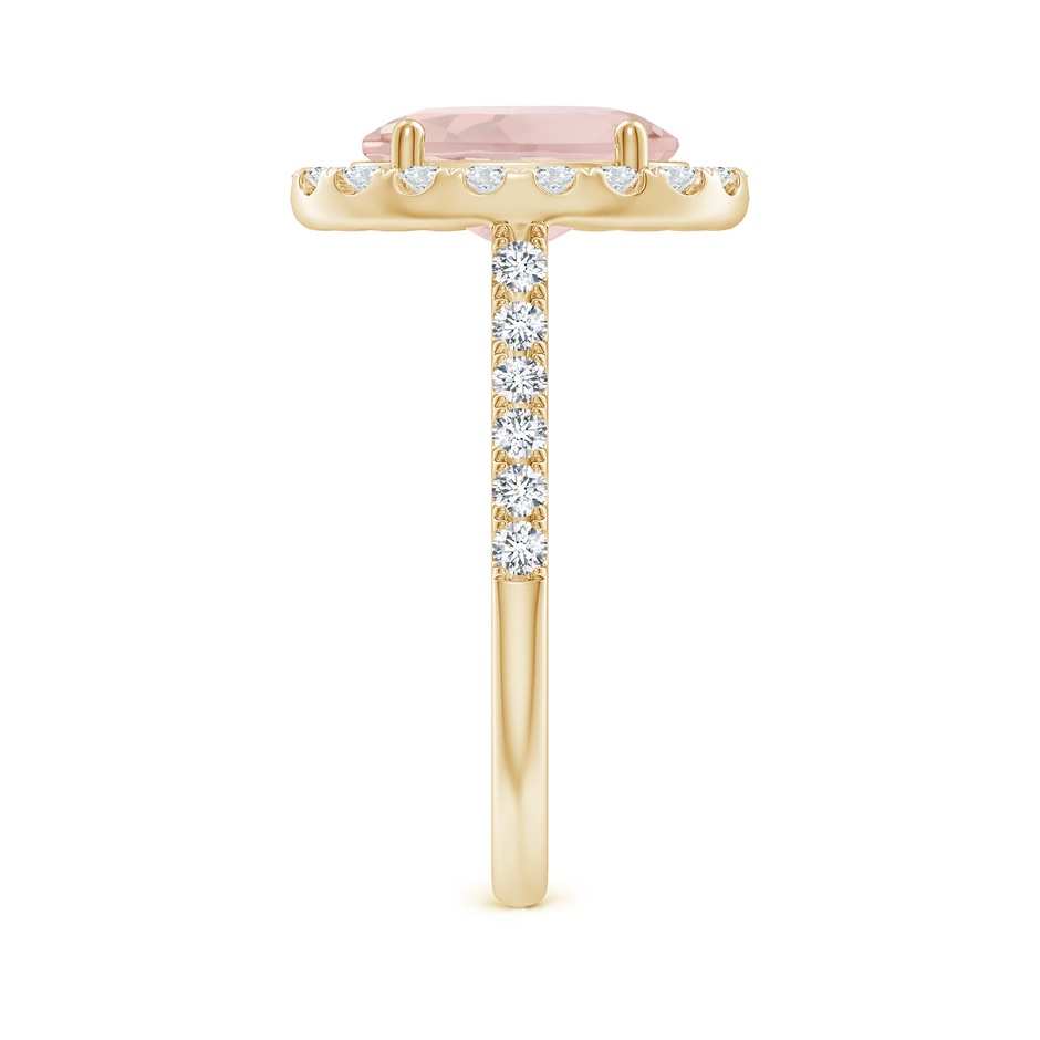 10x8mm A Double Claw-Set Oval Morganite Halo Ring with Diamonds in Yellow Gold side-2