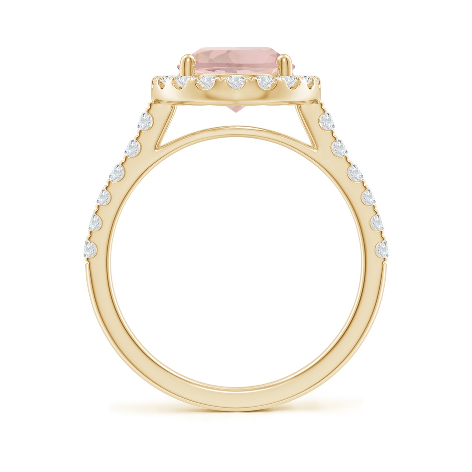 10x8mm AA Double Claw-Set Oval Morganite Halo Ring with Diamonds in Yellow Gold side-1