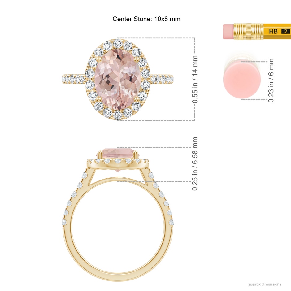 10x8mm AA Double Claw-Set Oval Morganite Halo Ring with Diamonds in Yellow Gold ruler