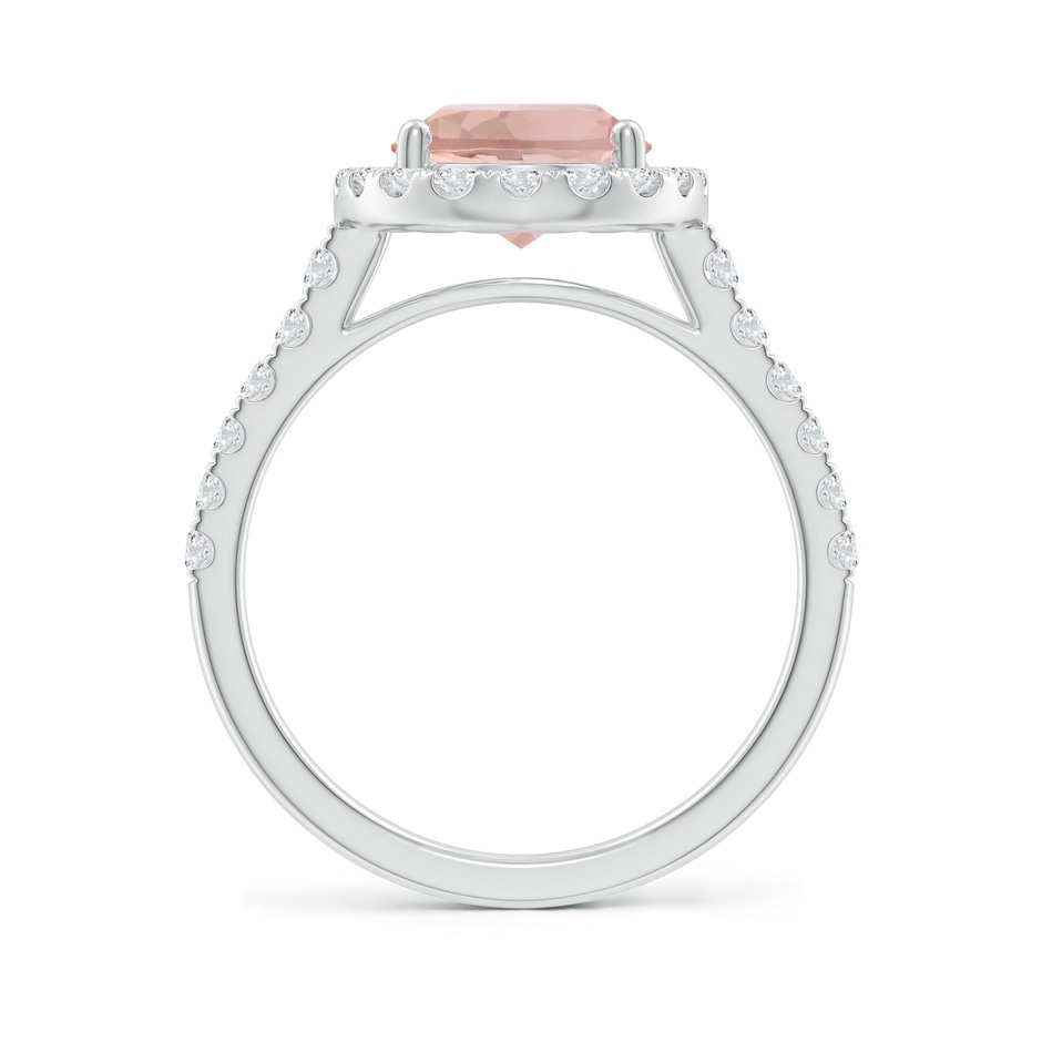 10x8mm AAA Double Claw-Set Oval Morganite Halo Ring with Diamonds in White Gold side-1