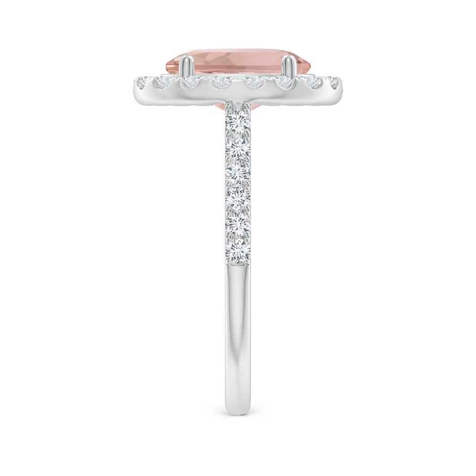 10x8mm AAA Double Claw-Set Oval Morganite Halo Ring with Diamonds in White Gold side-2