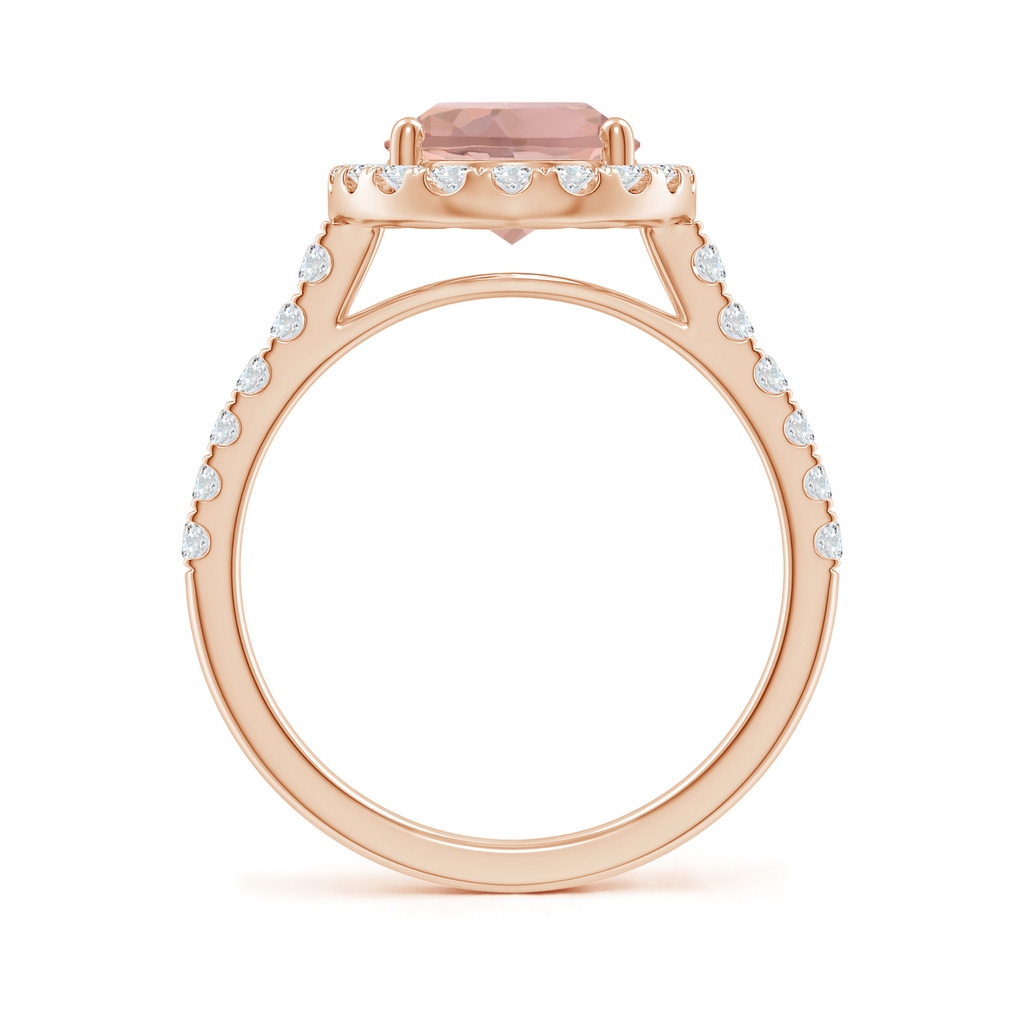 10x8mm AAAA Double Claw-Set Oval Morganite Halo Ring with Diamonds in Rose Gold - side_1