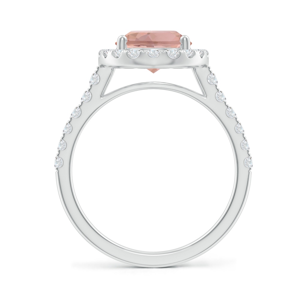 10x8mm AAAA Double Claw-Set Oval Morganite Halo Ring with Diamonds in White Gold - side_1