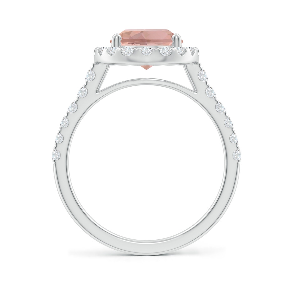 10x8mm AAAA Double Claw-Set Oval Morganite Halo Ring with Diamonds in White Gold side-1