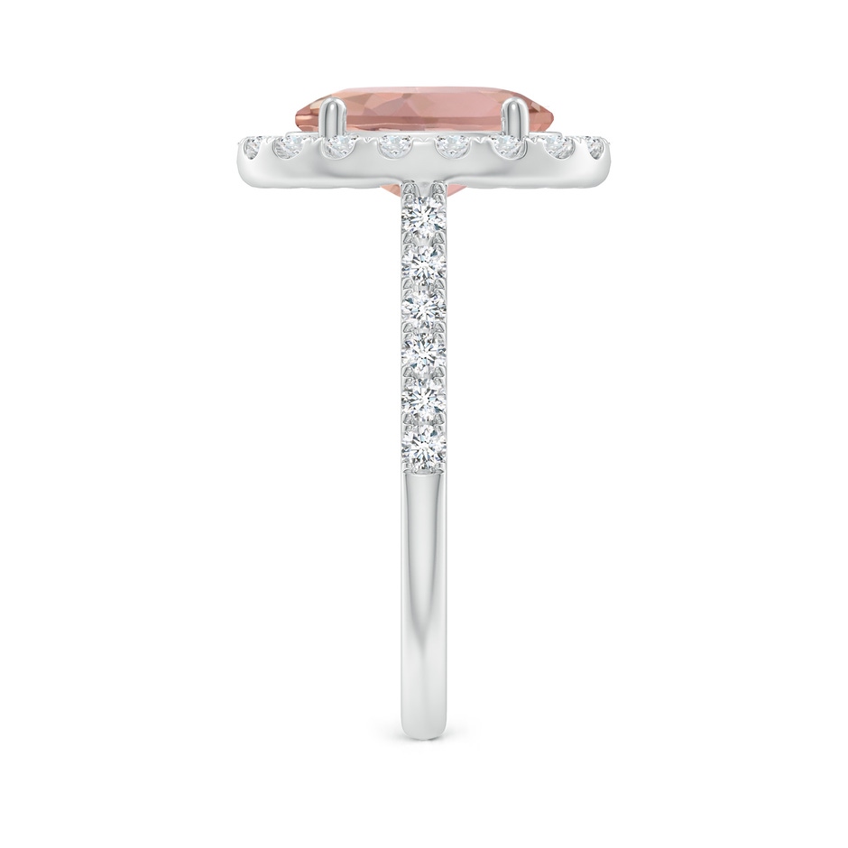 10x8mm AAAA Double Claw-Set Oval Morganite Halo Ring with Diamonds in White Gold side-2