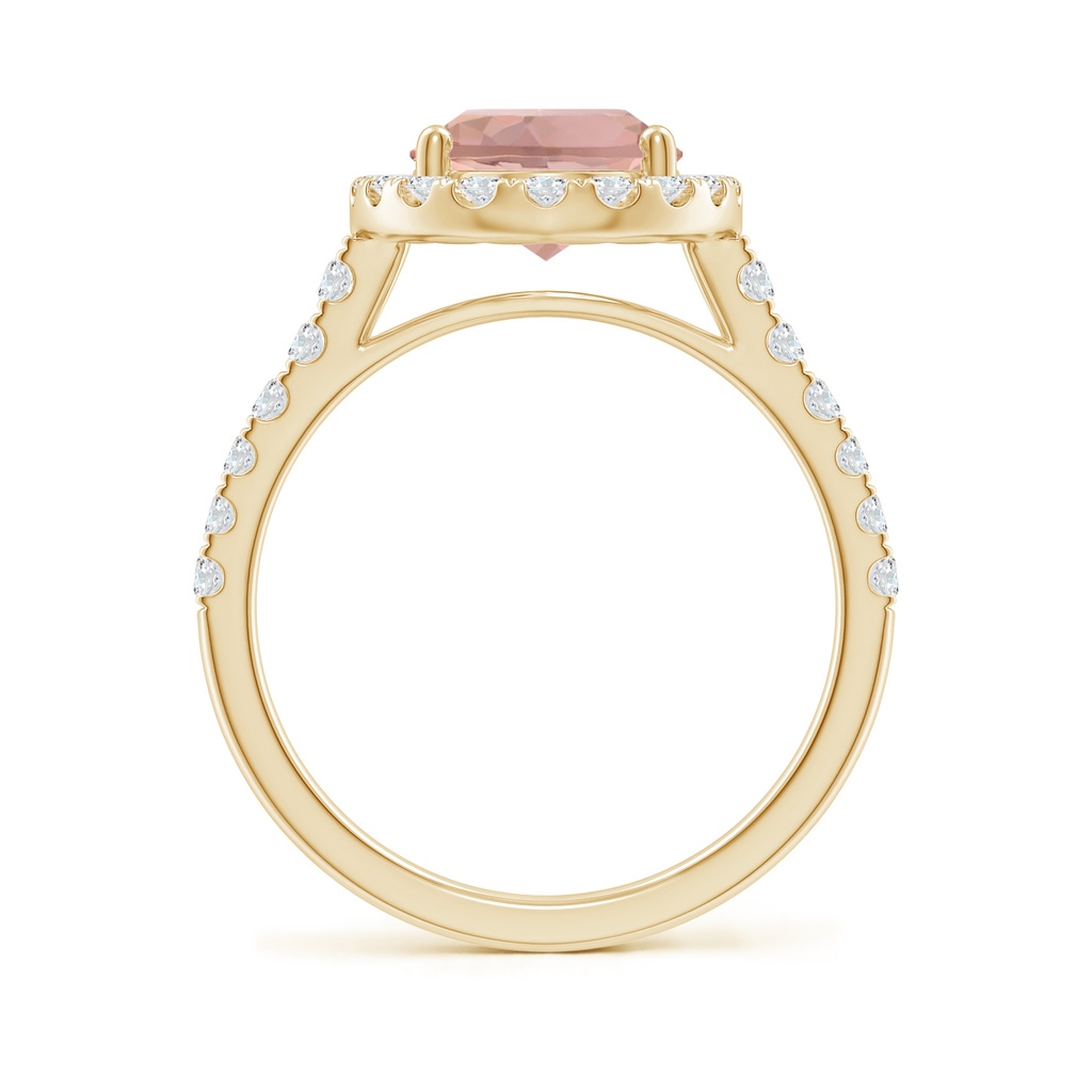 10x8mm AAAA Double Claw-Set Oval Morganite Halo Ring with Diamonds in Yellow Gold - side_1