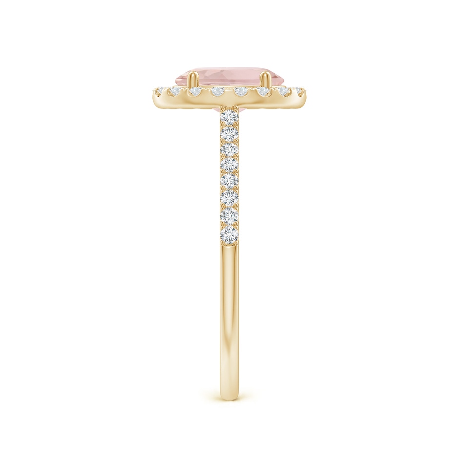 8x6mm A Prong-Set Oval Morganite Halo Ring with Diamonds in 9K Yellow Gold side-2
