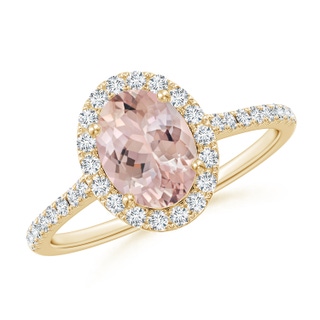 Oval AA Morganite