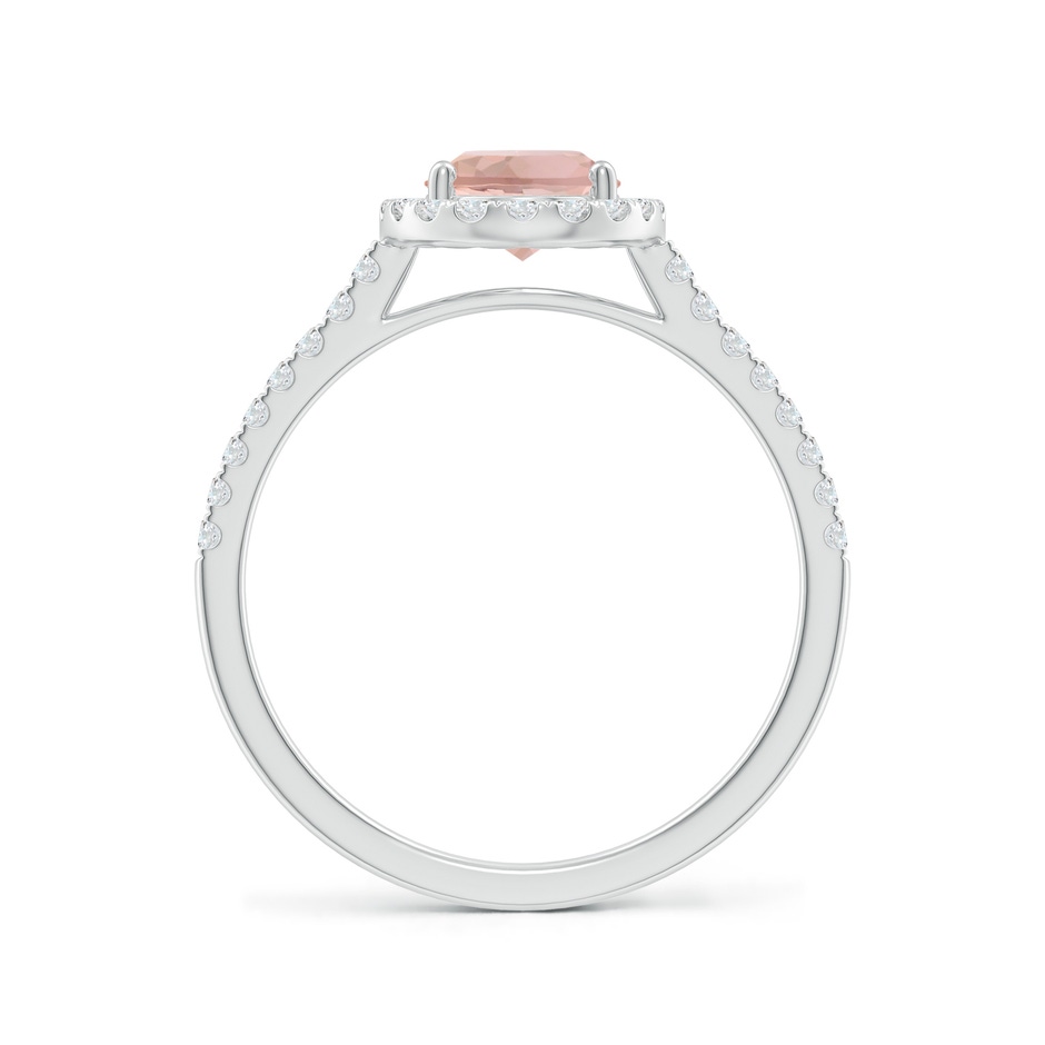 8x6mm AAA Double Claw-Set Oval Morganite Halo Ring with Diamonds in White Gold side-1