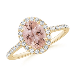 Oval AAA Morganite