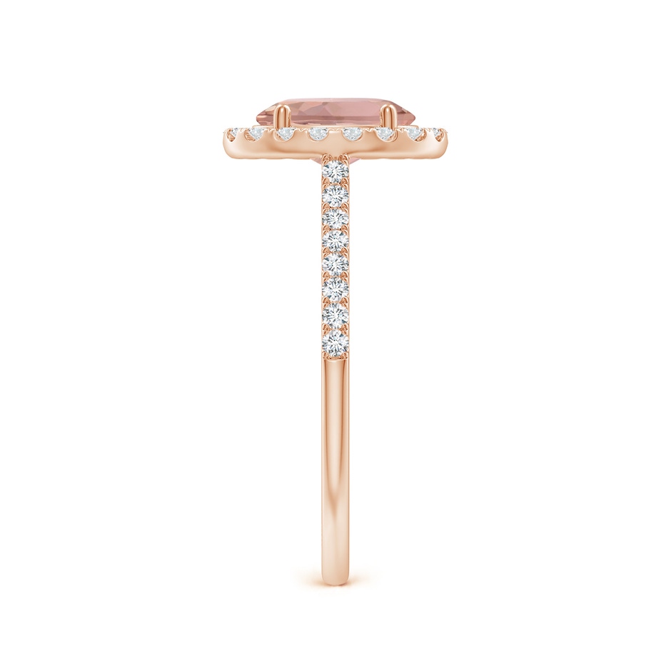 8x6mm AAAA Double Claw-Set Oval Morganite Halo Ring with Diamonds in Rose Gold side-2