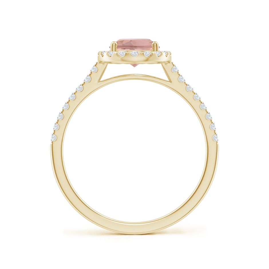 8x6mm AAAA Double Claw-Set Oval Morganite Halo Ring with Diamonds in Yellow Gold side-1
