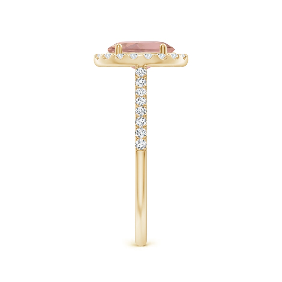8x6mm AAAA Double Claw-Set Oval Morganite Halo Ring with Diamonds in Yellow Gold side-2