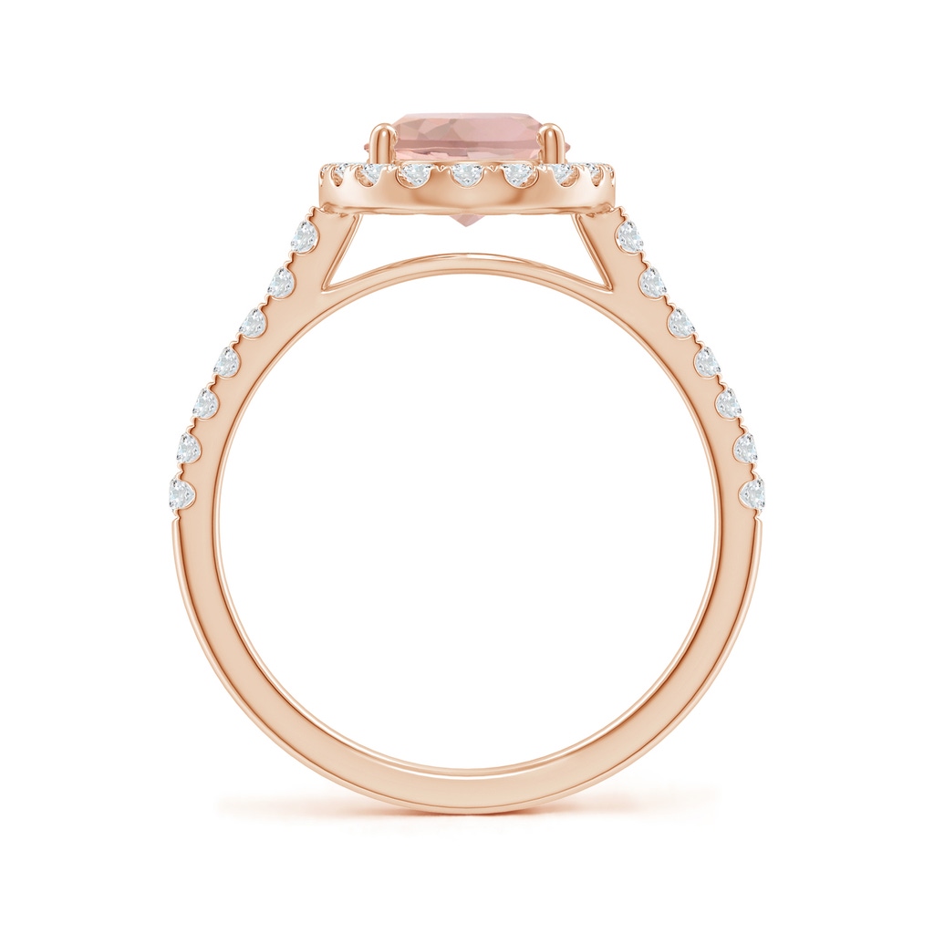 9x7mm AAA Double Claw-Set Oval Morganite Halo Ring with Diamonds in Rose Gold - side_1