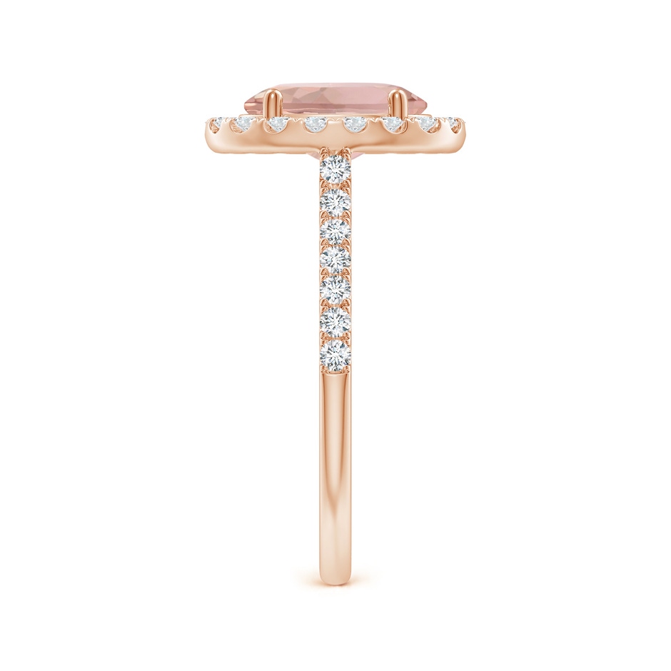 9x7mm AAA Double Claw-Set Oval Morganite Halo Ring with Diamonds in Rose Gold side-2