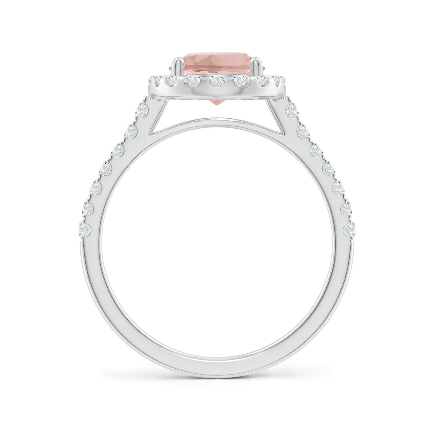 AAA - Morganite / 2.1 CT / 14 KT White Gold