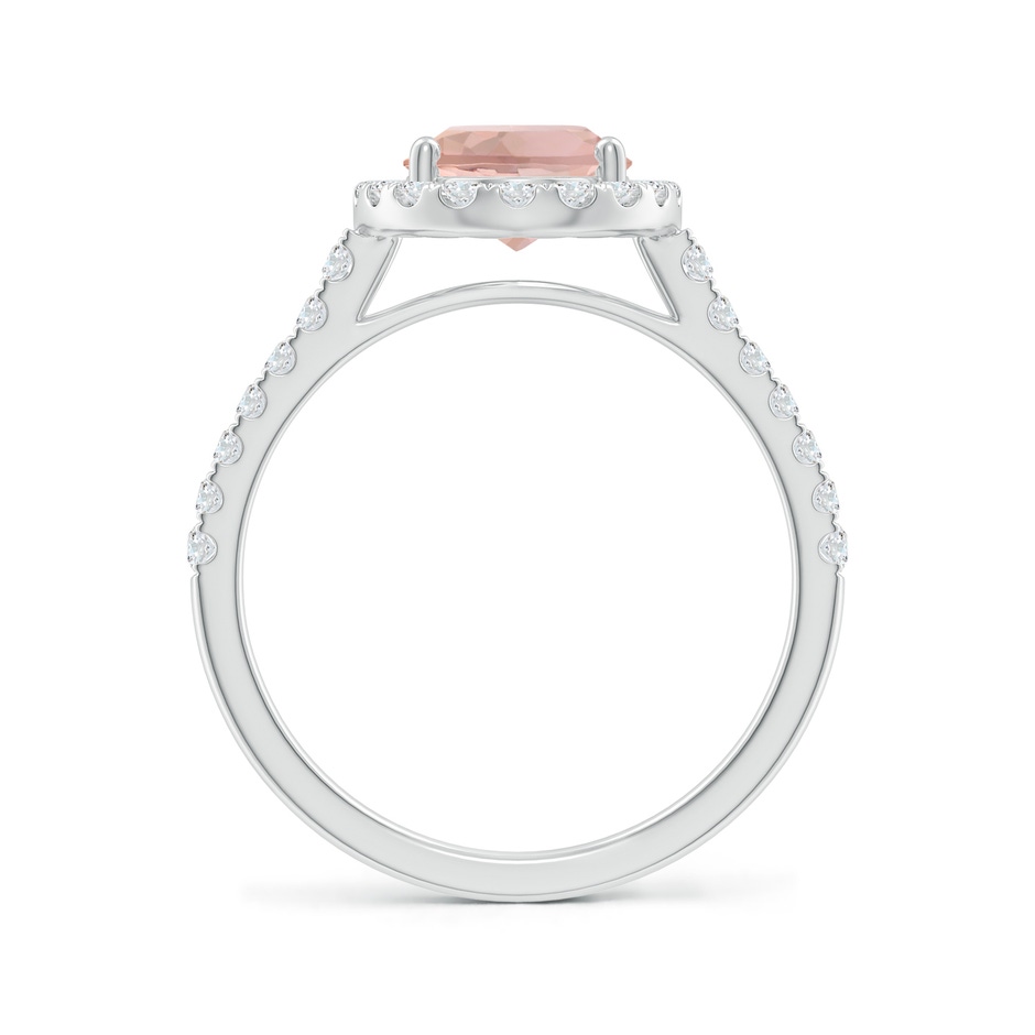 9x7mm AAA Double Claw-Set Oval Morganite Halo Ring with Diamonds in White Gold side-1