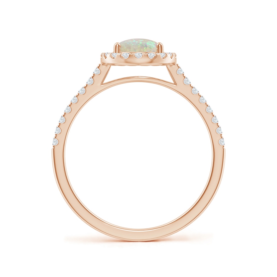 8x6mm AAA Prong-Set Oval Opal Halo Ring with Diamonds in Rose Gold side 199